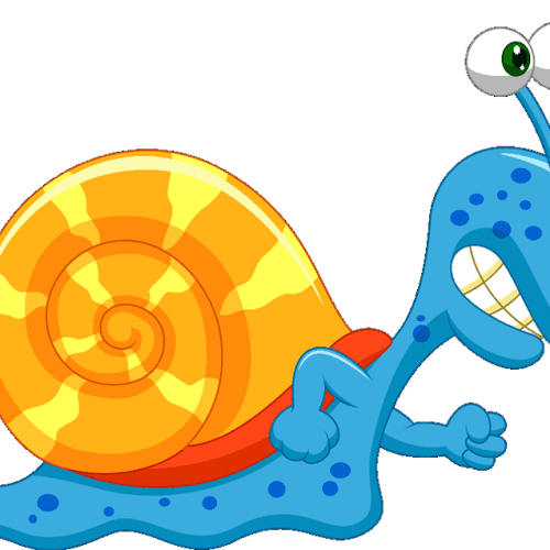 NCR Trail Snails