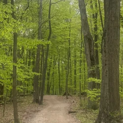 Hike and Happy Hour Columbus