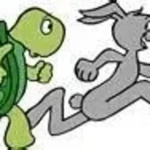 Triangle Turtles and Hares Running Club