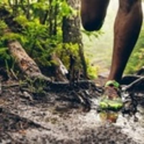 Texas Trail Runners