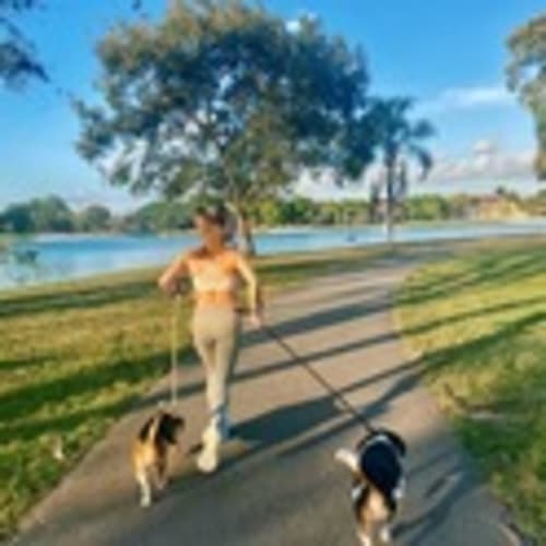 Dogs Who Run