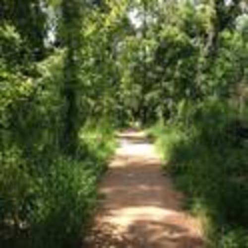 Kingwood Running Club