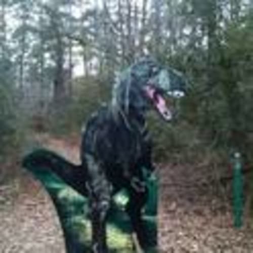 Houston Trail Runners EXtreme (HTREx)