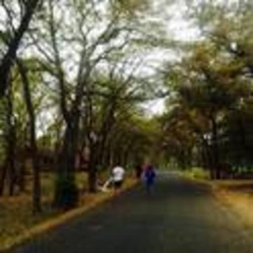 Run Ovilla Club