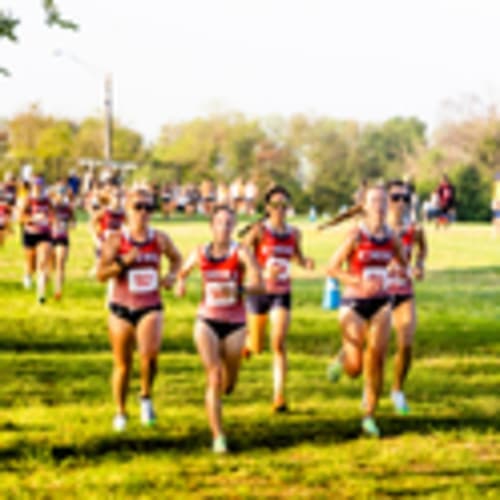 DBU XC (Merrifield Athletics Club)