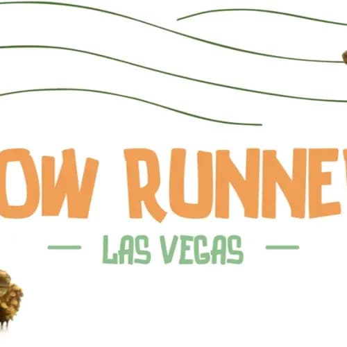 Slow Runners - Las Vegas