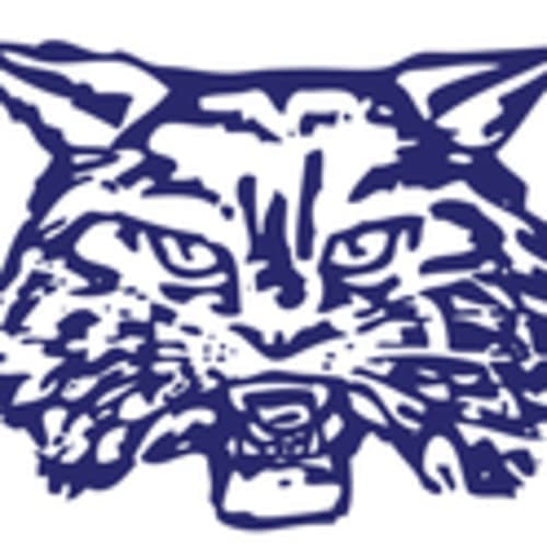 Wildcat Runners