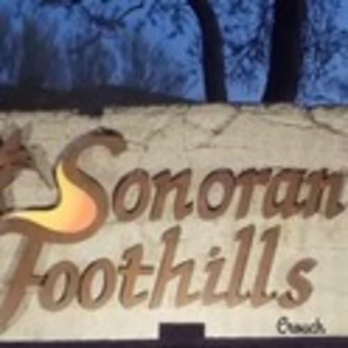 Sonoran Foothills Runners