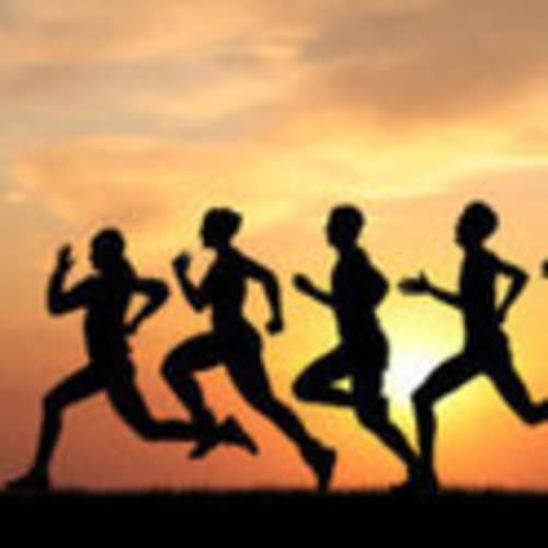 West Bloomfield Trail - Runners