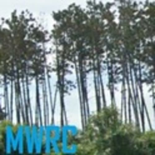 Millers Woods Run Club