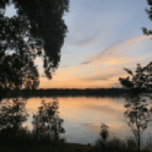 Lake Runners
