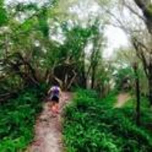Tampa Trail Runners