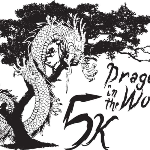Dragons In The Woods