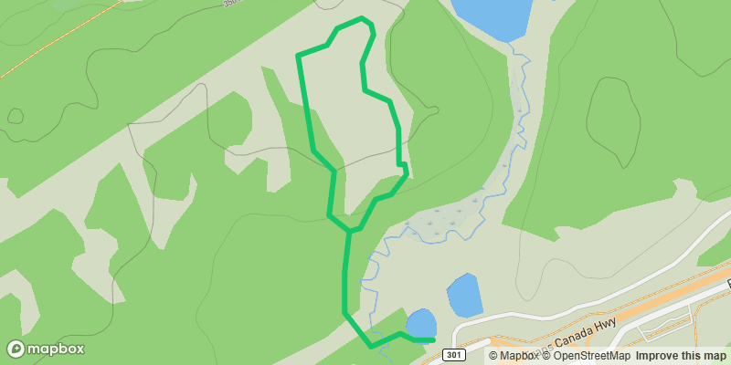 Trail photo