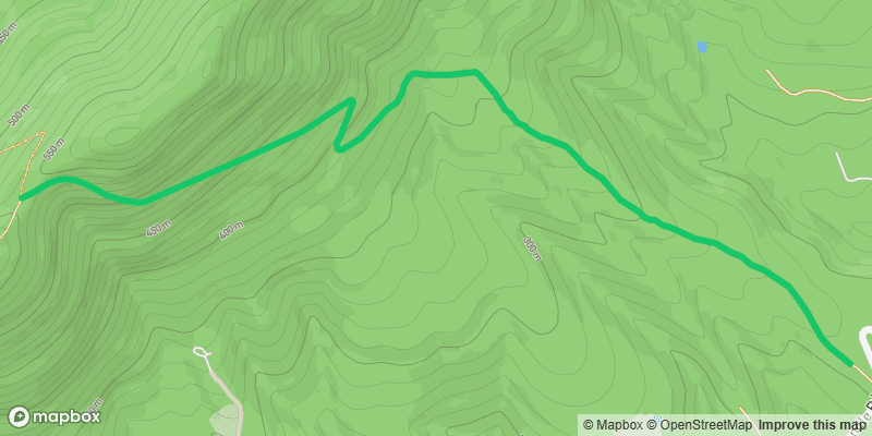 Trail photo