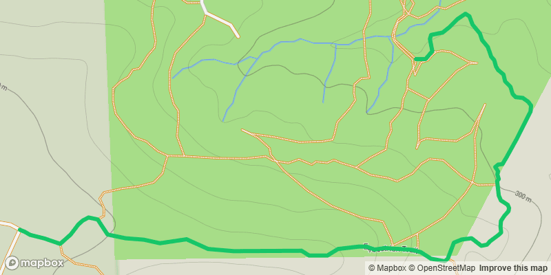 Trail photo