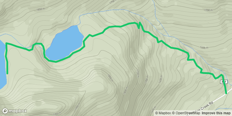 Trail photo