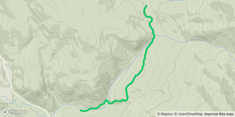 Trail photo