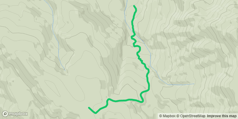 Trail photo