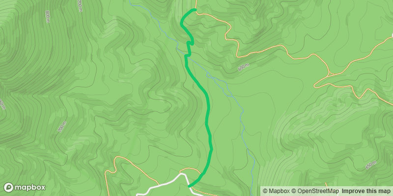 Trail photo