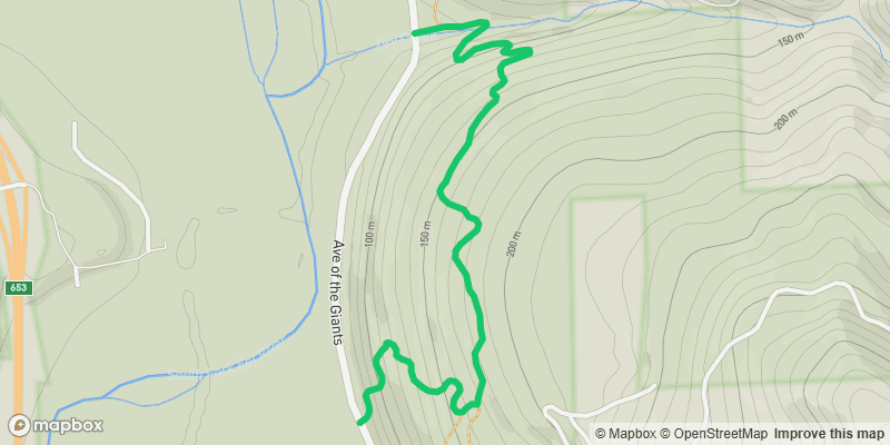 Trail photo