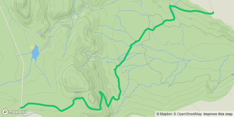 Trail photo