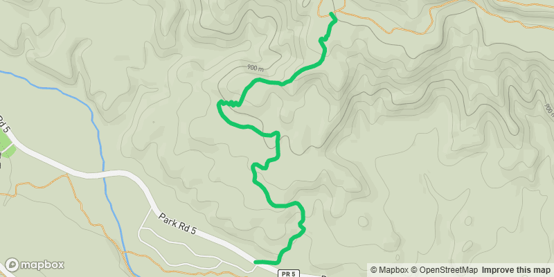 Trail photo