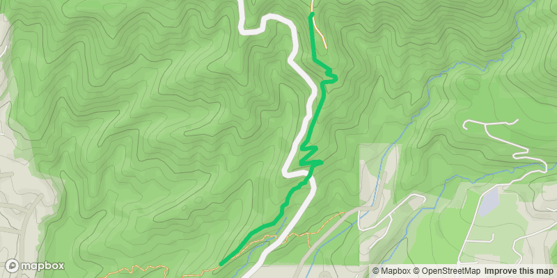 Trail photo