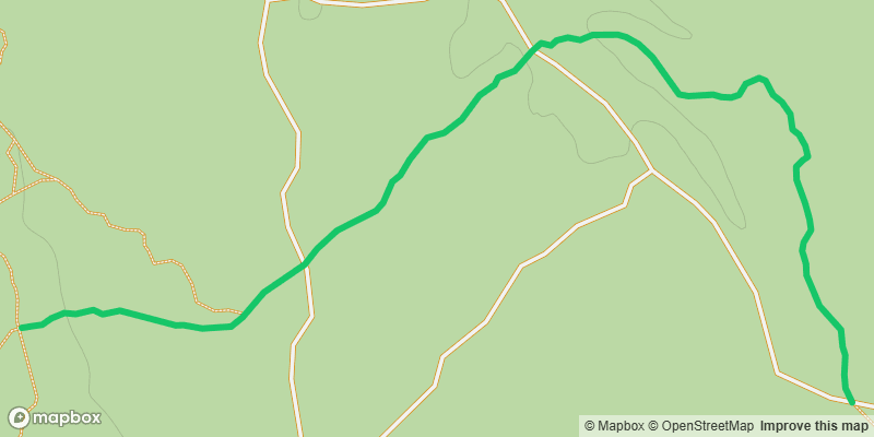Trail photo
