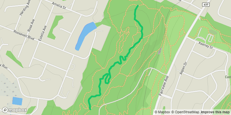 Trail photo