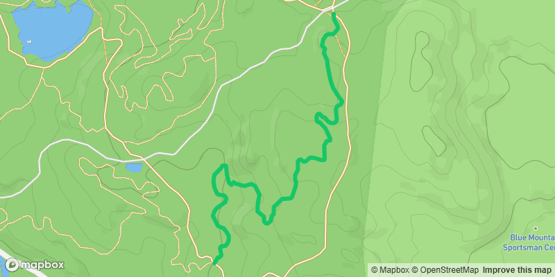 Trail photo
