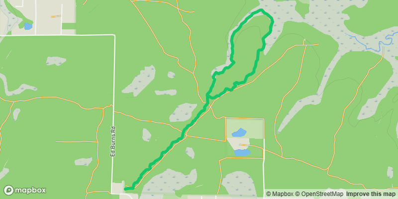 Trail photo