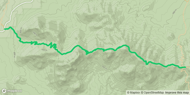 Trail photo