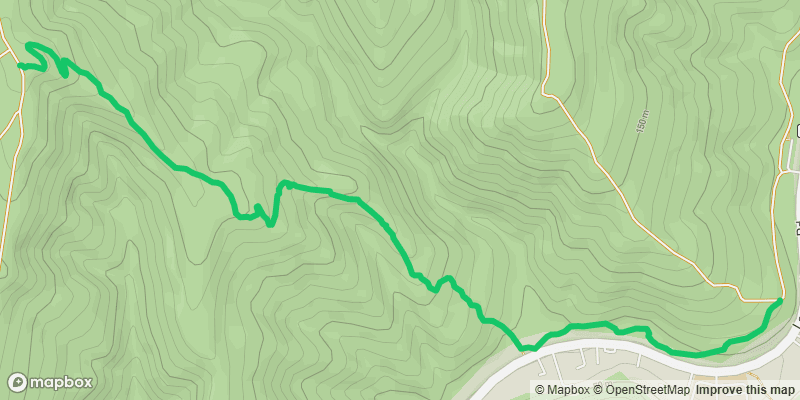 Trail photo