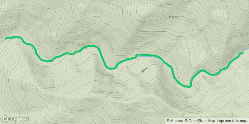 Trail photo