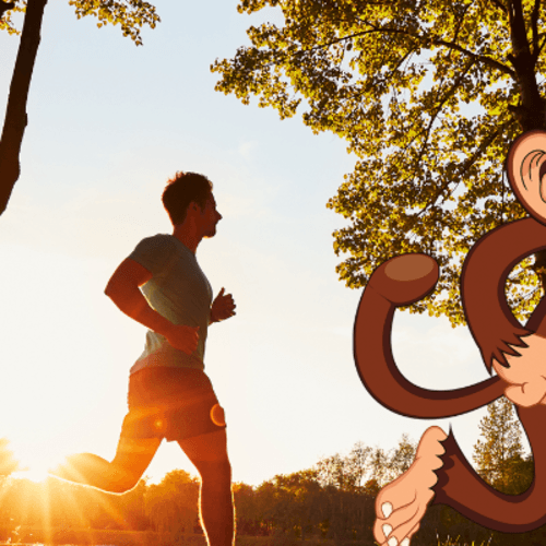 Cheeky Monkey 24