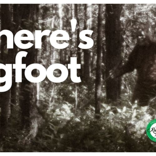 Where's Bigfoot 5k