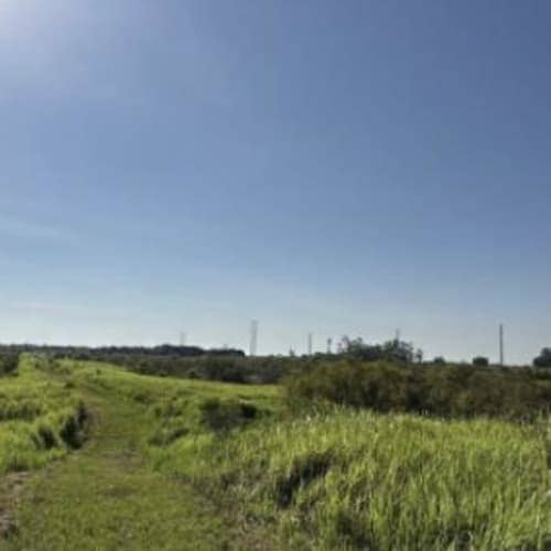 Peace River 100 Miler