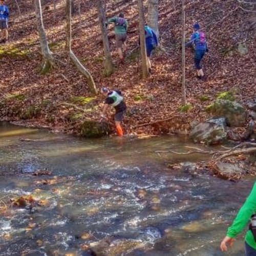 The TarDevil 30 Mile Bushwhack