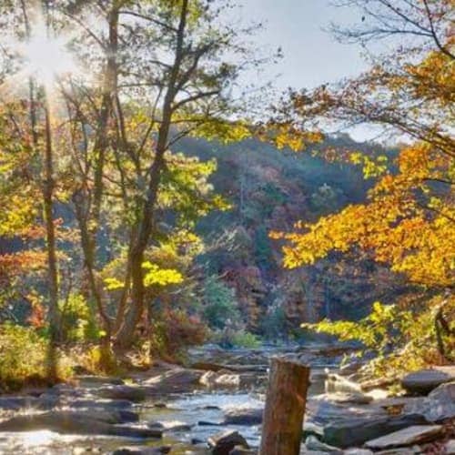 Canebrake 200 Miler and 100 Miler