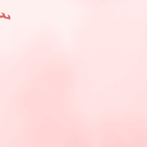 Monroe Alumnae's Red Reindeer 5k Fun Run/walk