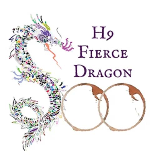 Fierce Dragon (H9)