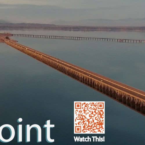 Long Bridge Half-marathon