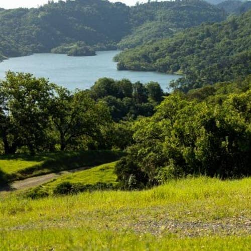 Lake Sonoma 100K & 50K