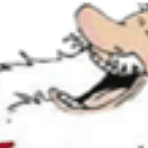 Saturday Before Christmas Run