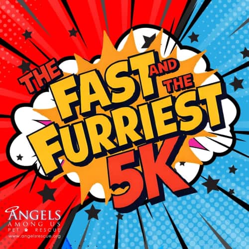 The Fast And The Furriest 5k