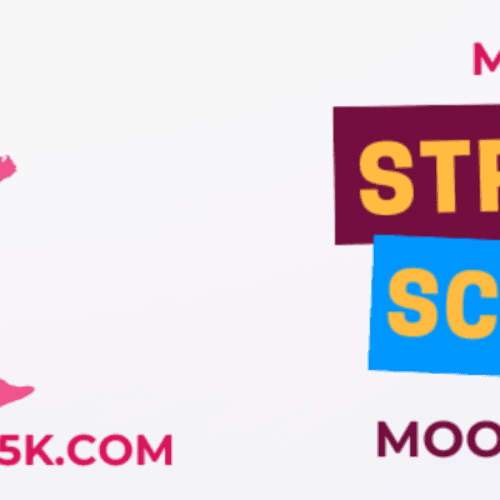 Moon Valley Strides For Schools 5k