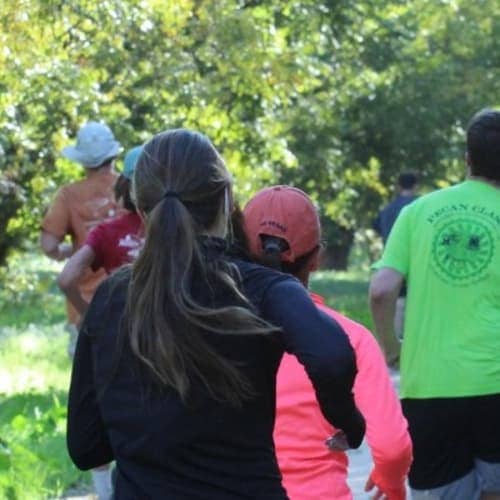 15th Annual Breeze In The Trees 5k