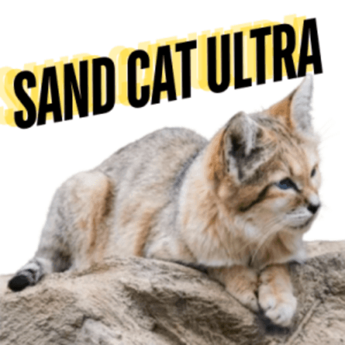Sand Cat Ultra