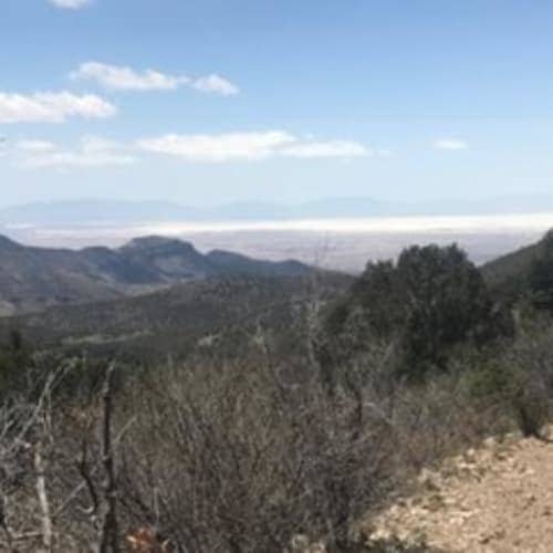 Cloudcroft Ultra 53k, 9.5 & 4.75 mile &1 mile kids